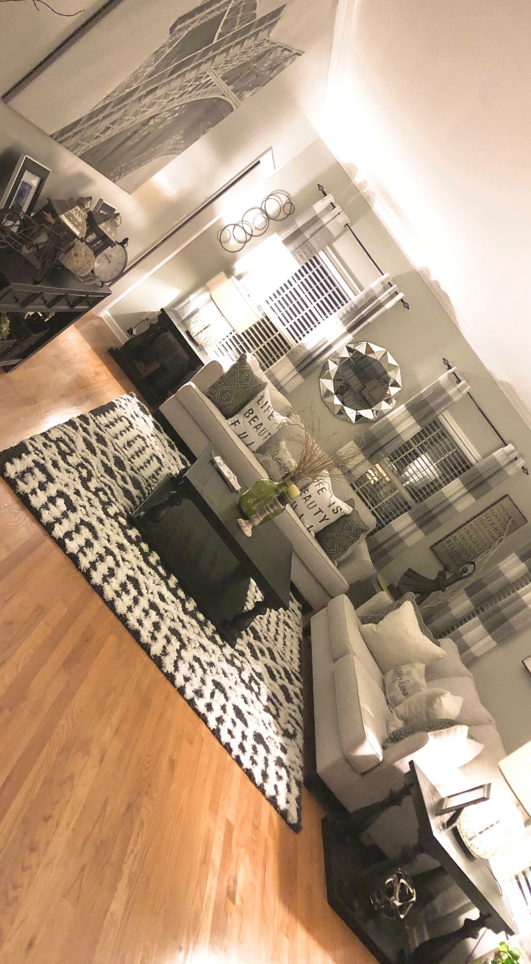 2 Matching Sofas and Rug
