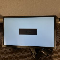 LG Computer Monitor/TV- 24"