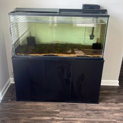 75 Gallon Tank And Stand 