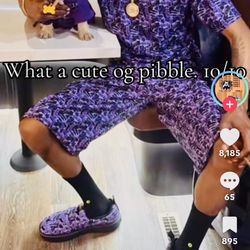 Skechers x Snoop Dogg Purple Camo Slip-On Shoes