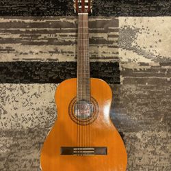 Acoustic Guitar 