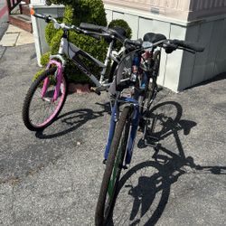 2 Mountain Bikes (Brand New)
