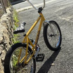 Sunday EX Julian Artega Mustard Yellow