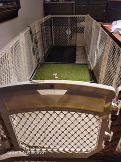 Pet House/ Playground 