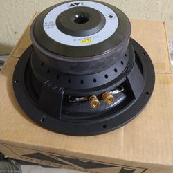 10" AVI Brand New Subwoofer 