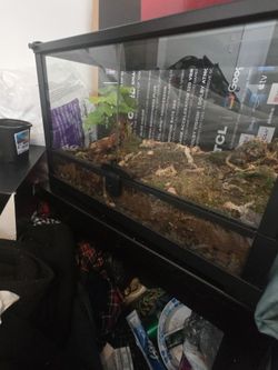 Terrarium