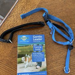 Dog Leader/Training - Medium 
