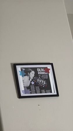 Olivia Rodrigo guts frame