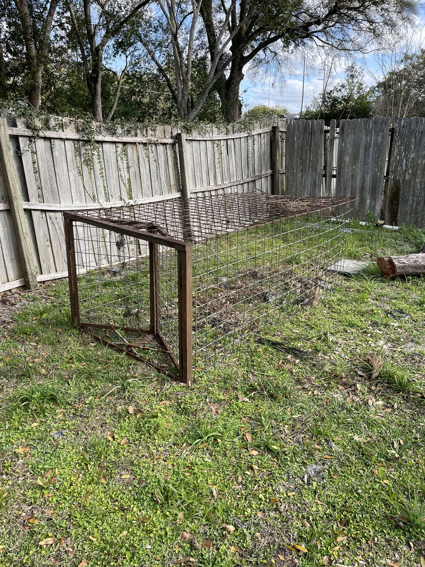 Hog Trap