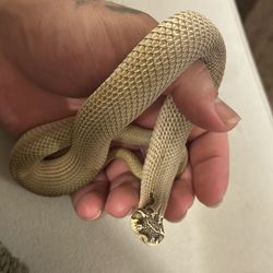 Enclosure 