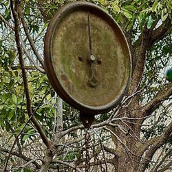 Various Weight Scales For Sale—Different Scales, All Working, Pick-up Locally 