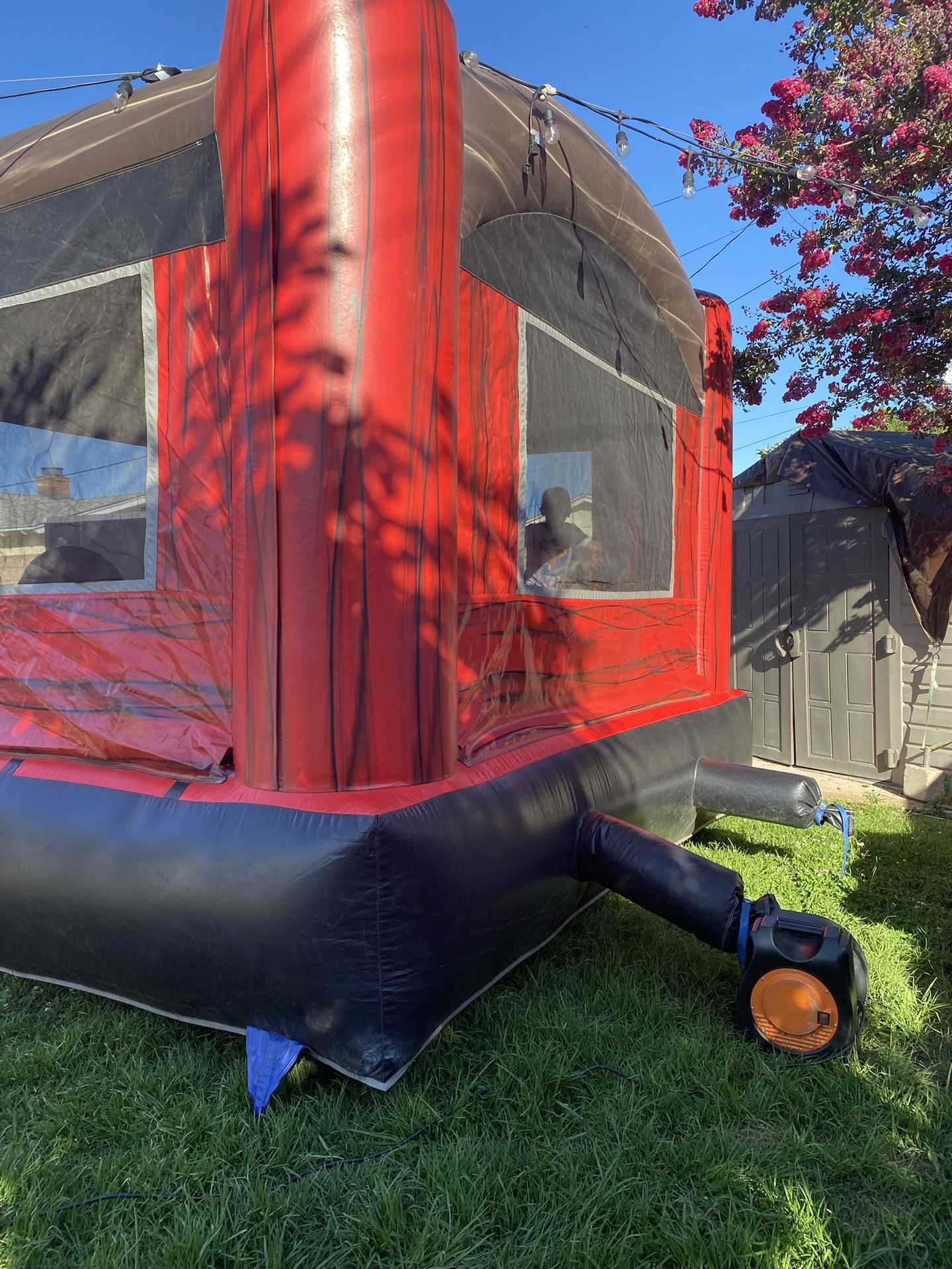 Pirate Jumper Bounce House