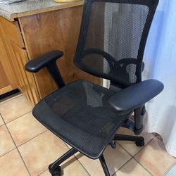Ergonomic Office Chair