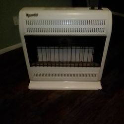 Dynaco Gas Heater