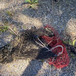 Free Hay Nets