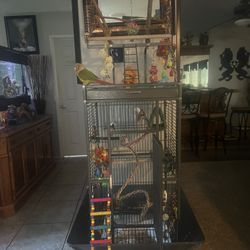 Bird Cage