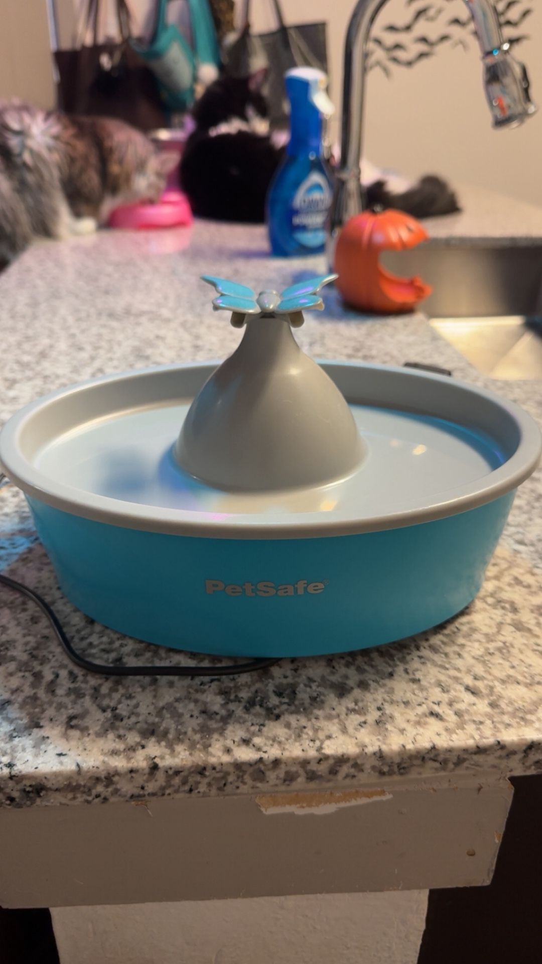 Butterfly PetSafe Drinkwell Pet Water Fountain