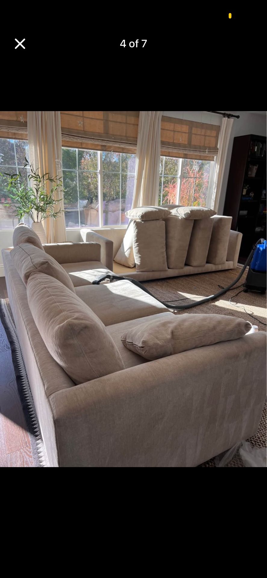 Sofa Cleaning