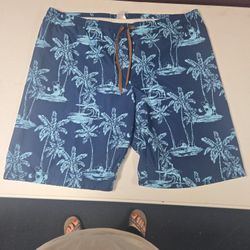 Mens Swim Trunks Xl
