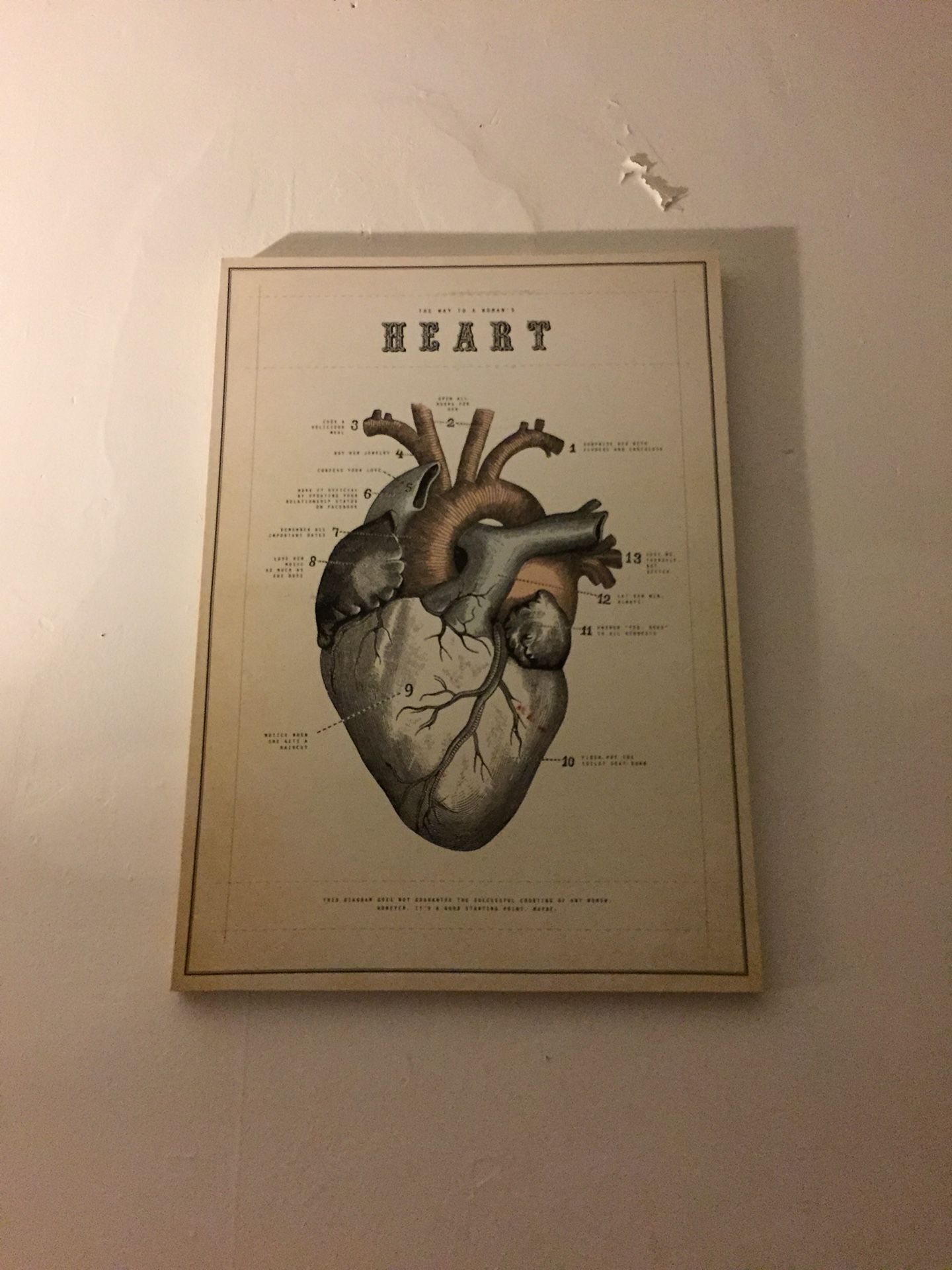 Heart art piece and anatomy