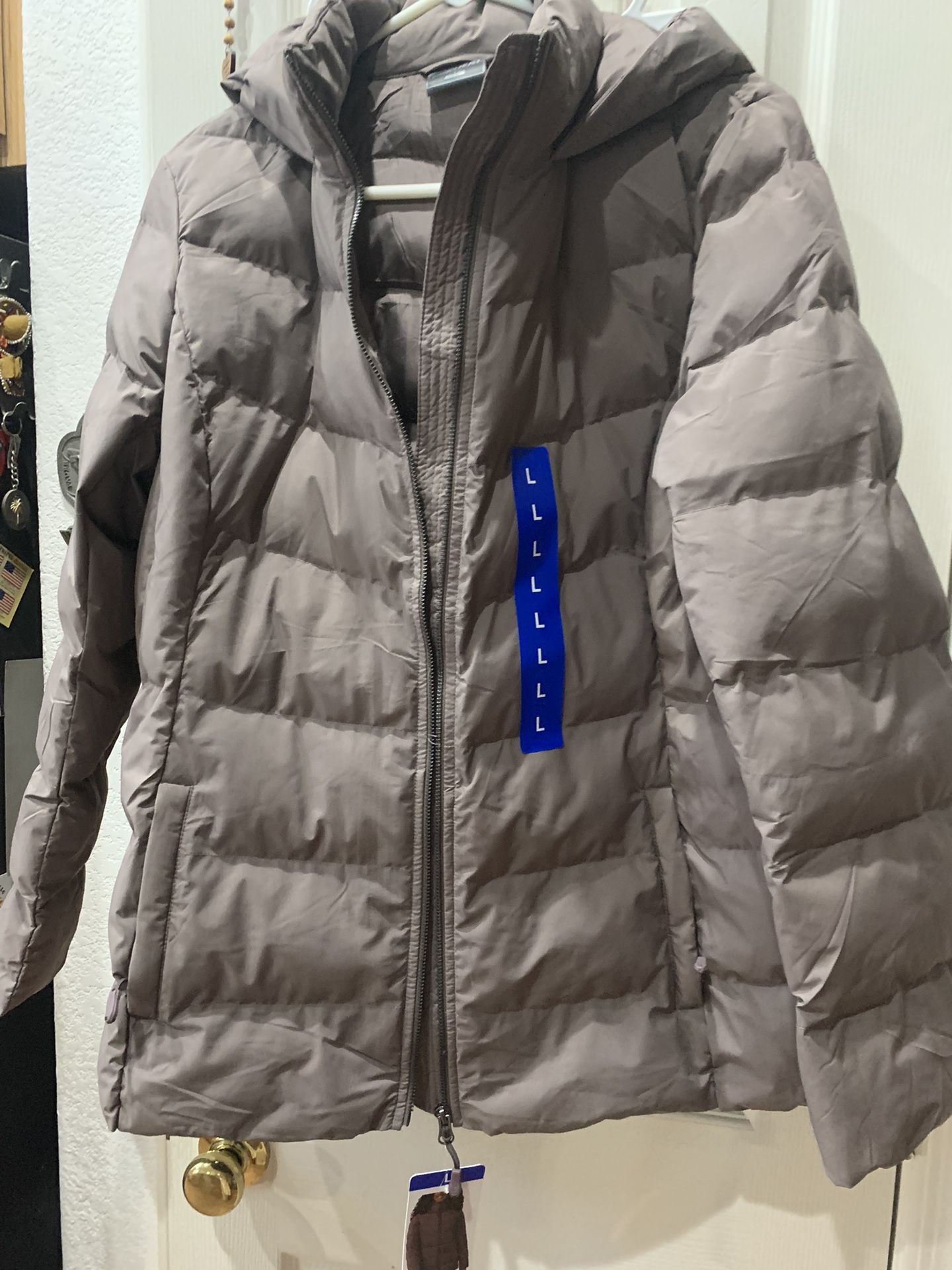 New Hooded Jacket