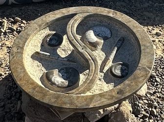 Ammonite Fossil Basin 