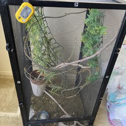 Reptile Cage