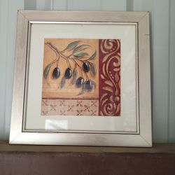 Olive Branch Picture