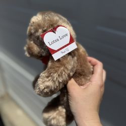Teddy Bear 🧸 (tag attached) 