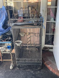 Parrot Cage