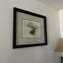 Wood Frames