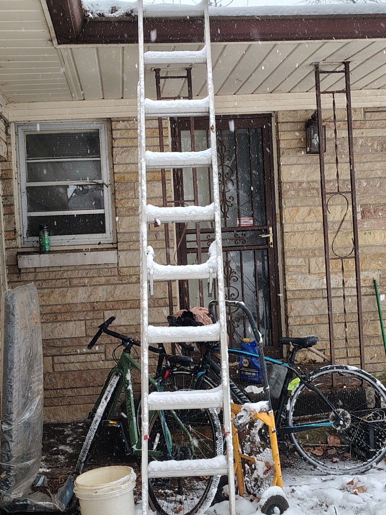 Nice Werner Ladder