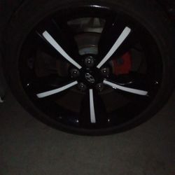 2014 Hyundai Veloster Rims 