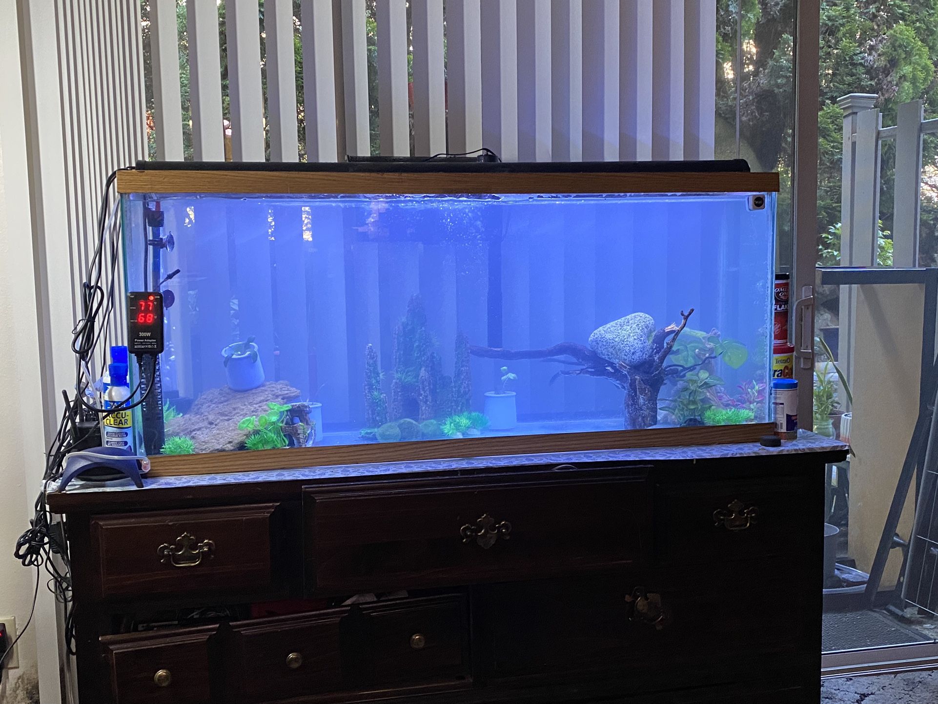 50 Gallon Aquarium Full Set