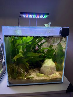 7.1 gallon UNS tank