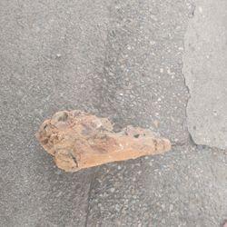 A Very Rare Rock