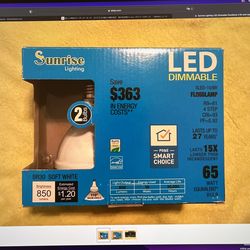 Sunrise Lighting LED Dimmable Floodlamp