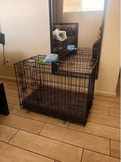 Dog crate