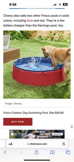 Frisco Medium Pool For Pets