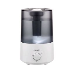 Humidifier 