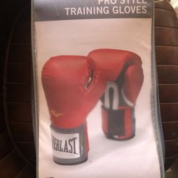 Ever Last Boxing Gloves 