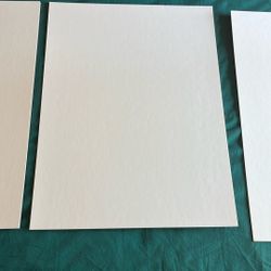 Nielsen Bainbridge (6) 15”x20” White Mounting Boards