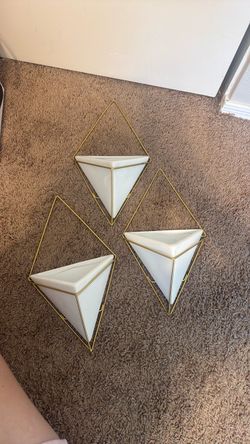 Wall mounted plant holders
