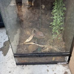 18x18x24 Reptile Tank 