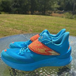 Curry Fox 1 “Happy Fox Day”