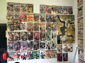 HUGE Black Cat Comic Collection