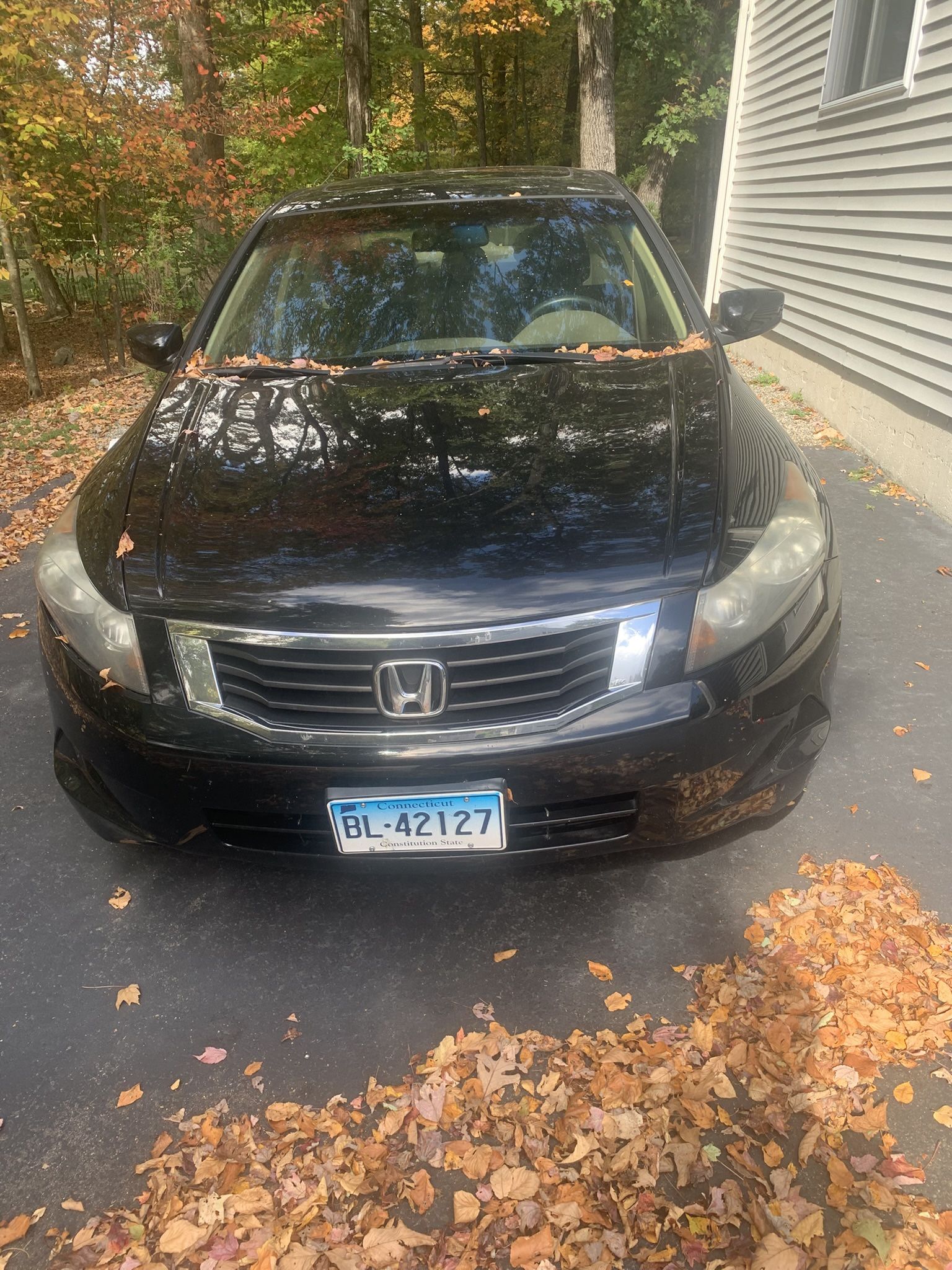 2010 Honda Accord