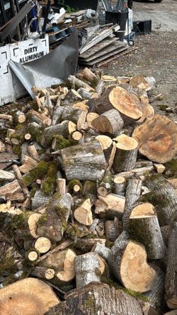 Wood