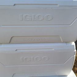 Igloo 152 Quart Coolers 