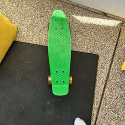 22 Inch Kids Pennyboard